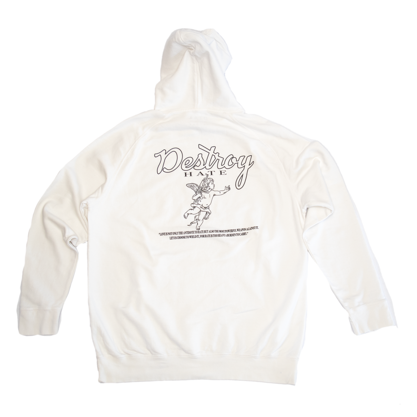 Destroy Hate Hoodie | OIAL - Once In A Lifetime